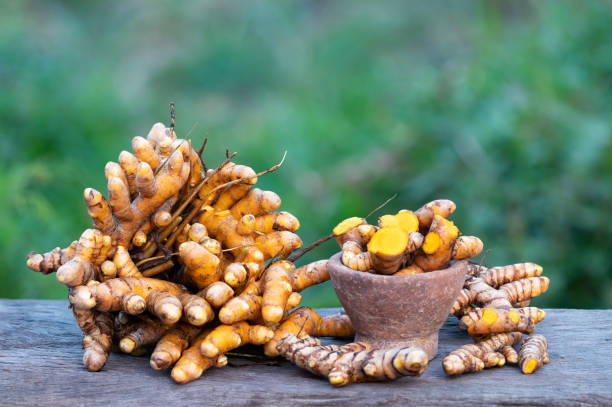 Turmeric